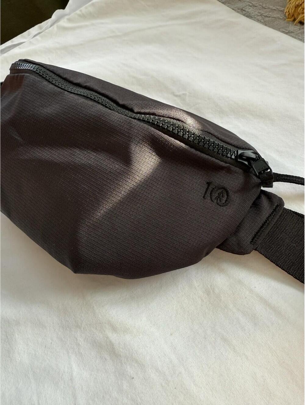 tentree Conway Ripstop Hip Bag